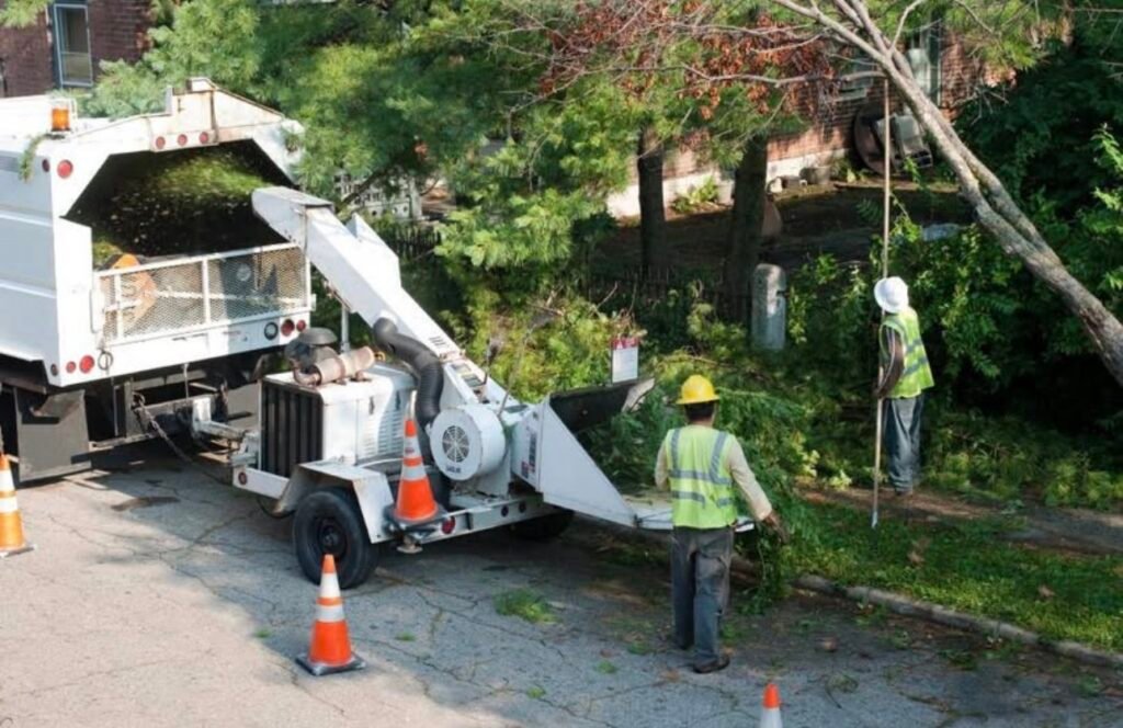 Tree Service in Greensboro, NC | Tree Removal, Trimming & Storm Cleanup