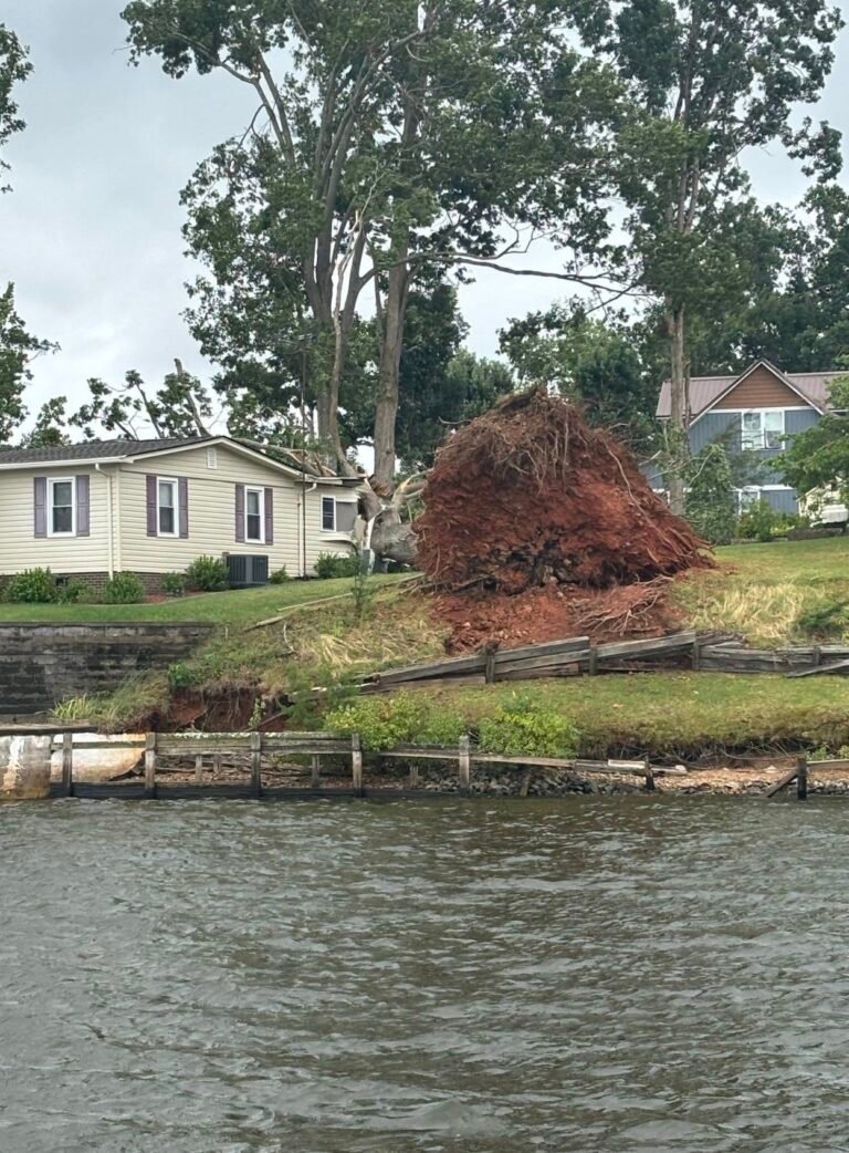 Tree Service in Denton, NC