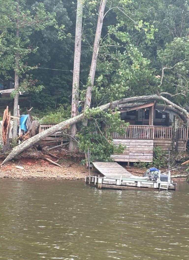 Tree Service in Denton, NC