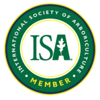 ChatGPT Image Mar 4, 2026, 12_11_17 AM